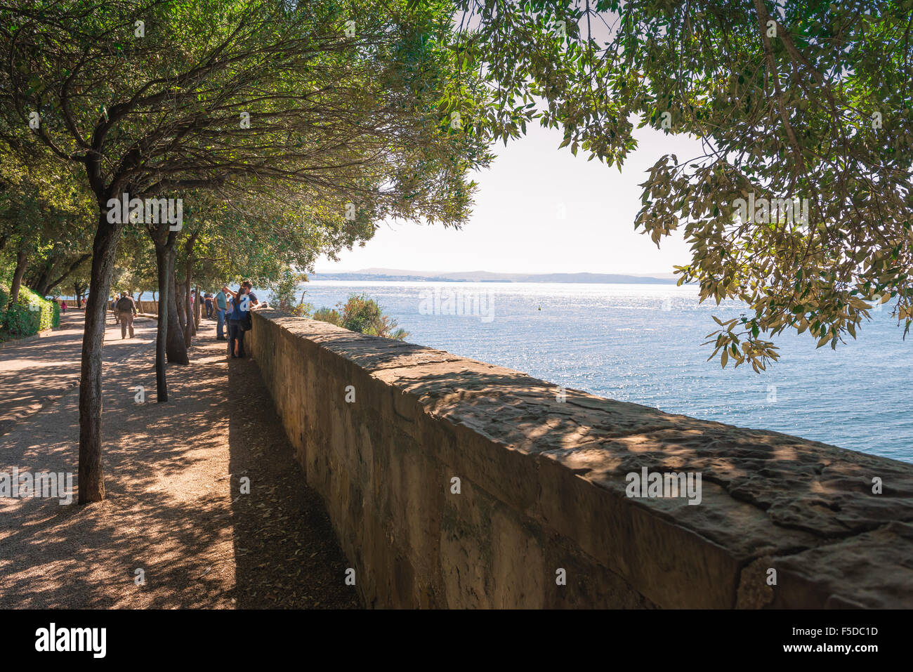 Miramare trieste, l'ulivo e alberato approccio costiere al castello di Miramare,Trieste, Italia. Foto Stock