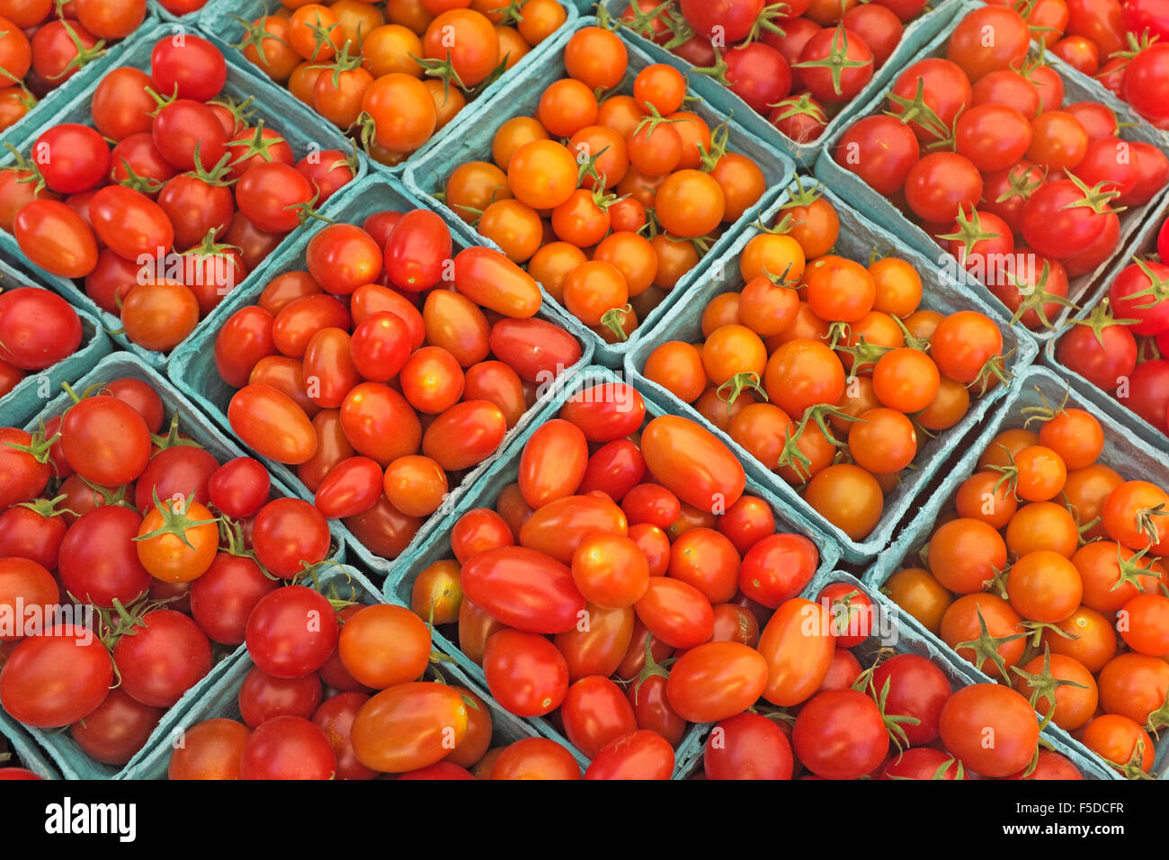 Appena raccolto scatole di pomodori ciliegia sul visualizzatore in corrispondenza di un estate mercato agricolo in curva, Oregon Foto Stock