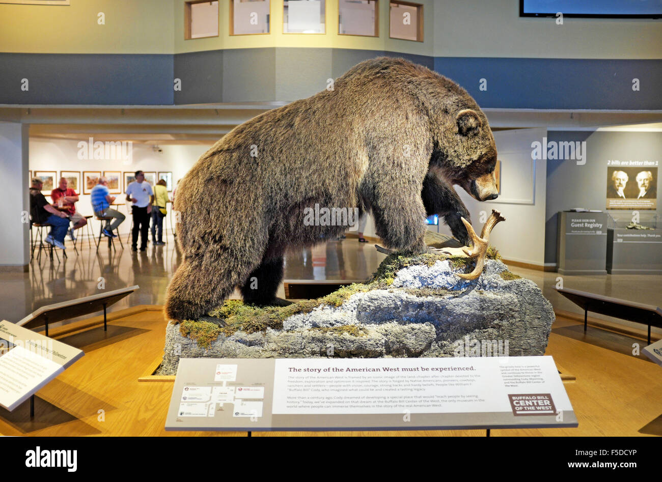 Un orso grizzly presentano nella lobby principale della Buffalo Bill centro del West, a Cody, Wyoming Foto Stock