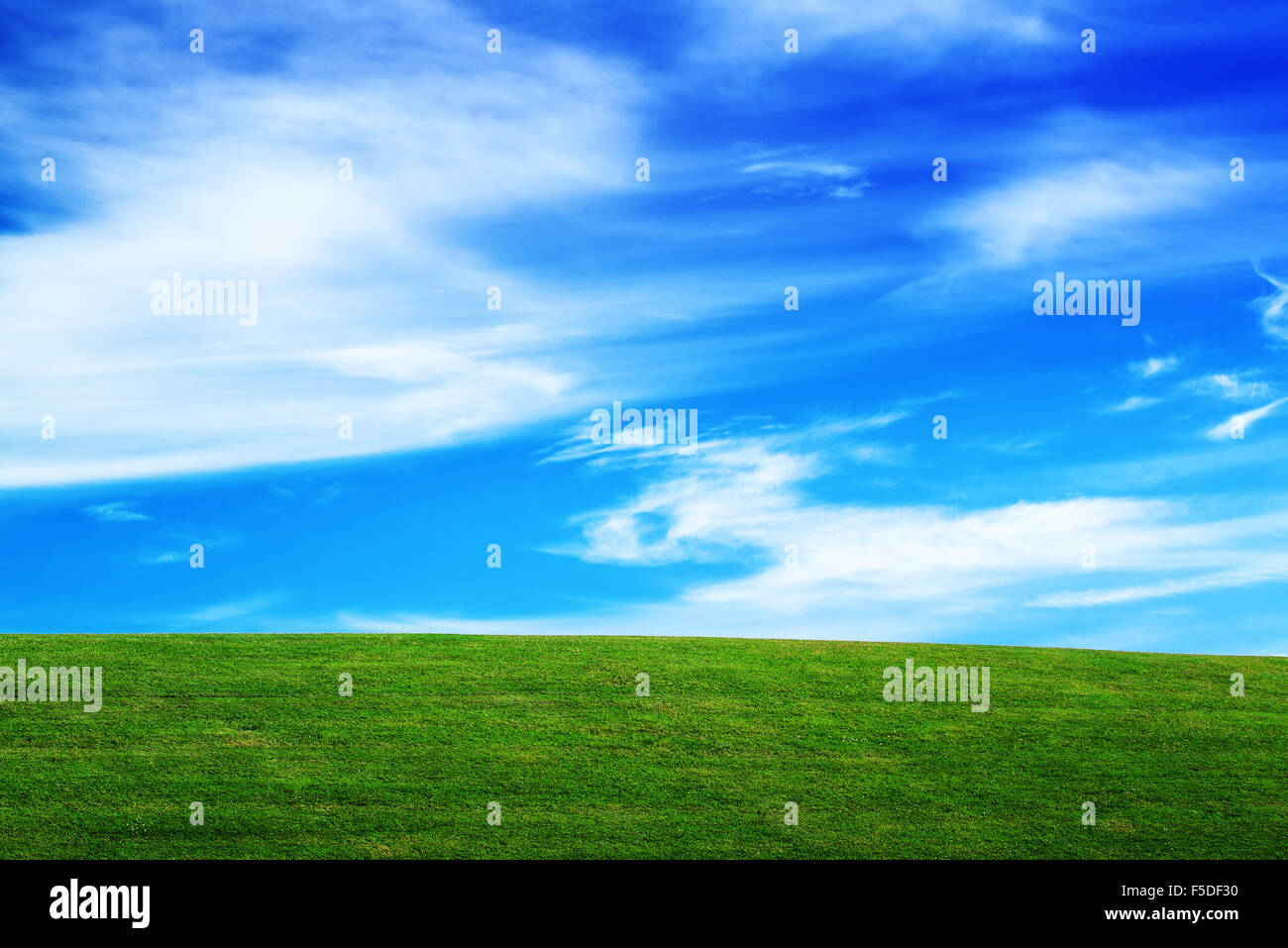 Prati e cielo, orizzonte su campo, aprire vuoto verde campagna erba di prato e cielo blu con nuvole Foto Stock