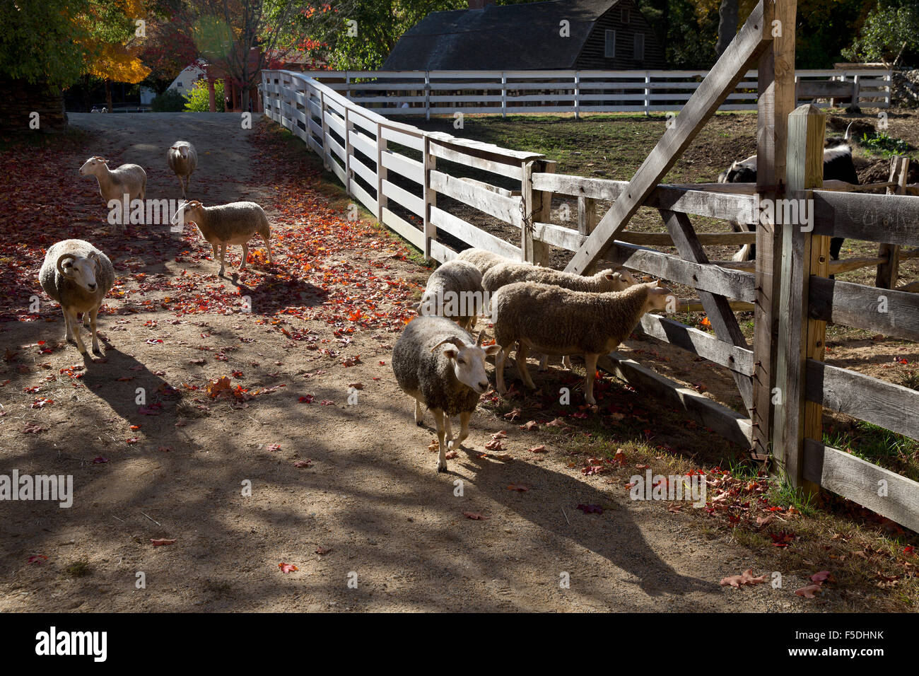 Old Sturbridge Village, Sturbridge, Massachusetts Foto Stock