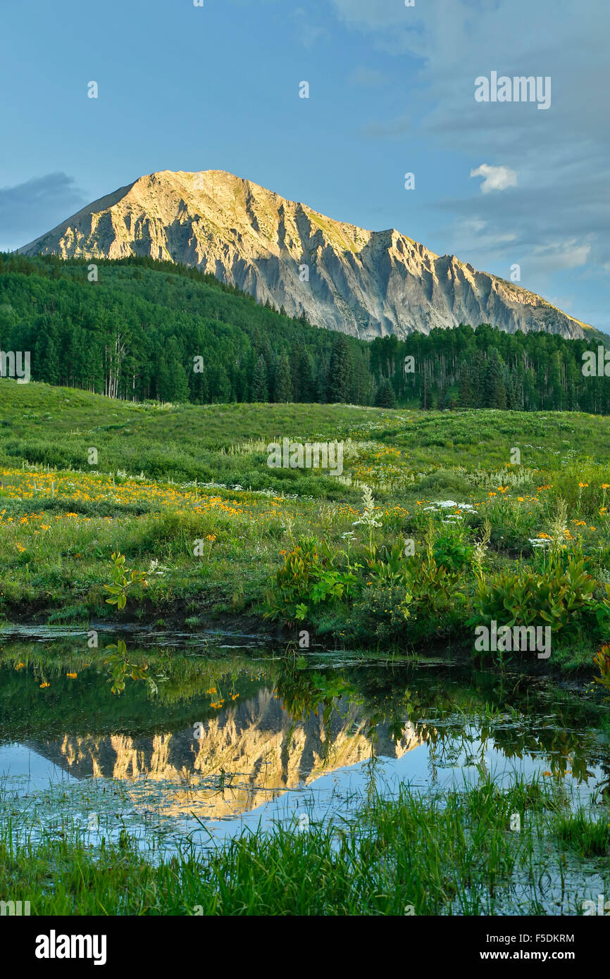Montagna gotico (12,631 ft.) riflesso sul laghetto, la Foresta Nazionale di Gunnison, vicino a Crested Butte, Colorado, STATI UNITI D'AMERICA Foto Stock