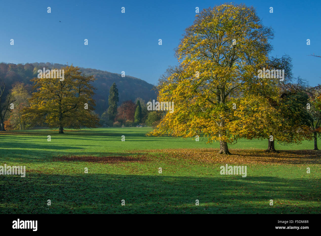 Ilam Park, Ilam nel picco Distrist, vicino a Ashbourne, Derbyshire, in Inghilterra. Foto Stock