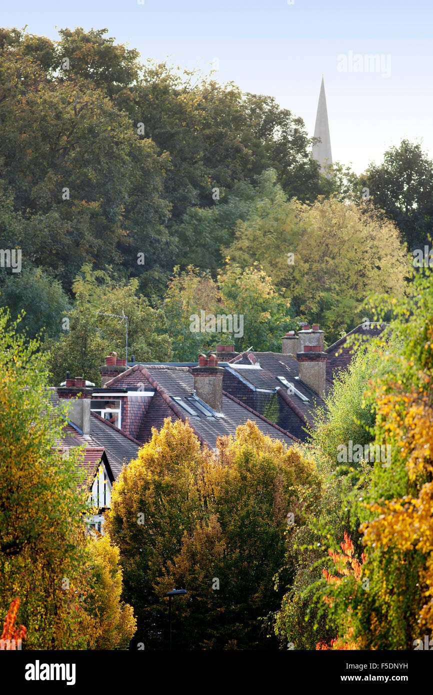 Colore di autunno negli alberi dei Duchi Avenue, una strada nella zona nord di Londra quartiere di Muswell Hill, e St Stephens Chiesa guglia. Foto Stock