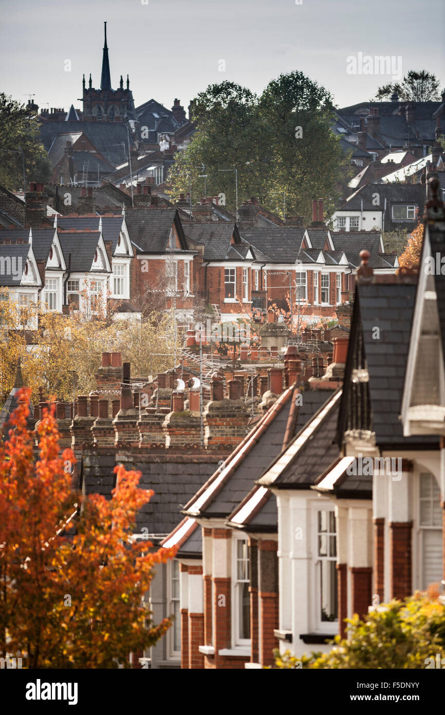 Colore di autunno negli alberi dei Duchi Avenue, una strada nella zona nord di Londra quartiere di Muswell Hill. Foto Stock