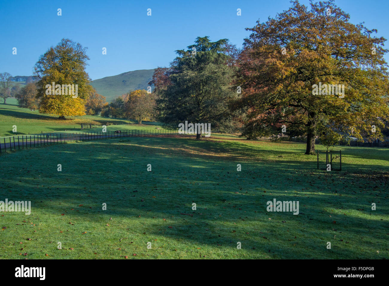 Ilam Park, Ilam nel picco Distrist, vicino a Ashbourne, Derbyshire, in Inghilterra. Foto Stock