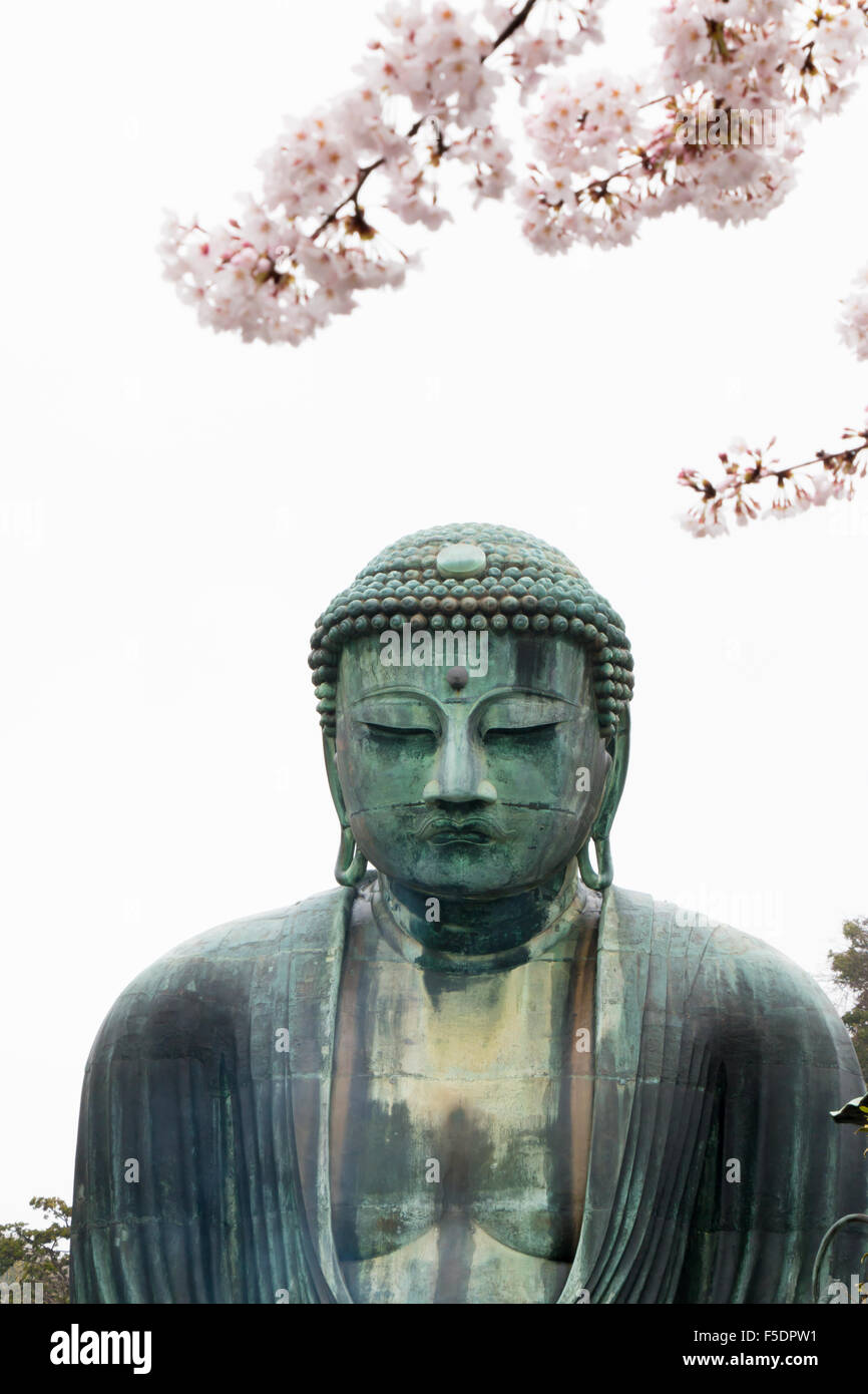 Il grande Daibutsu, Buddha di Kamakura , una statua in bronzo del Buddha Amida nel Tempio Kotokuin a Kamakura, Kanagawa, Giappone Foto Stock