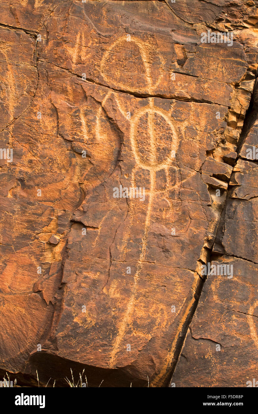 Antica arte rupestre degli Aborigeni incisioni, simboli di riti di iniziazione, su red muri in pietra in Flinders Ranges, outback Australia Foto Stock