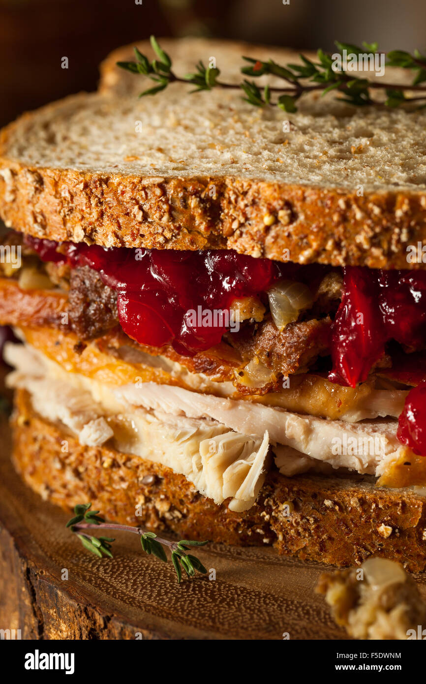 In casa avanzi di ringraziamento in sandwich con la Turchia di mirtilli rossi e ripieno Foto Stock
