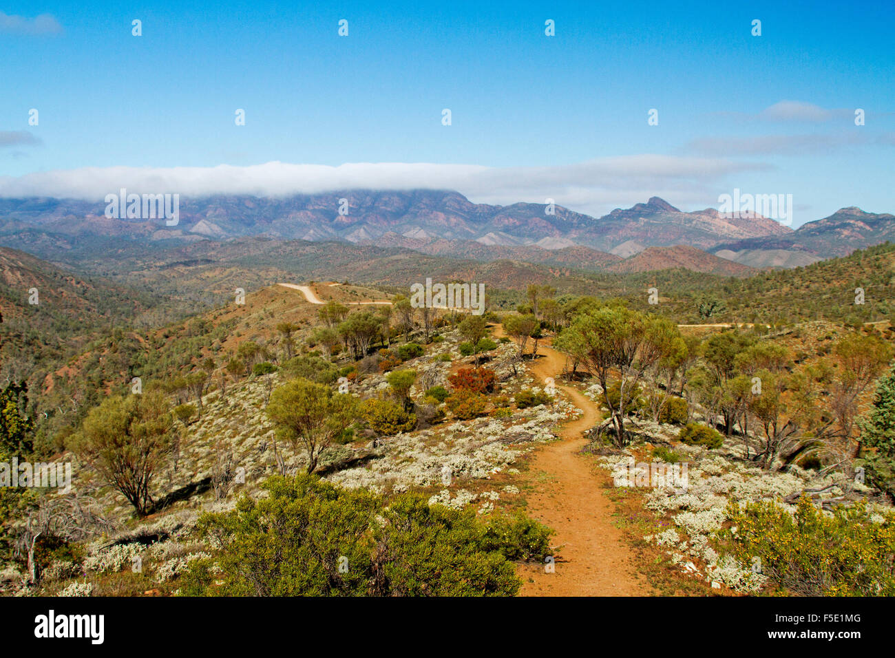 Spettacolare paesaggio di picchi di Flinders Ranges aumenti oltre le colline intonacato con fiori selvatici in outback Australia del Sud Foto Stock