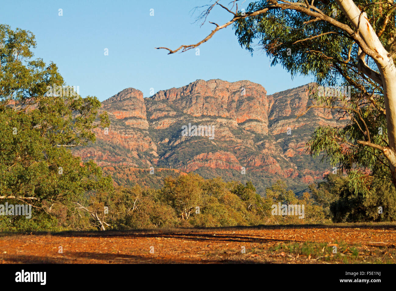 Paesaggio dominato da red picchi rocciosi che domina treesunder cielo blu in Flinders Ranges National Park, outback Australia del Sud Foto Stock