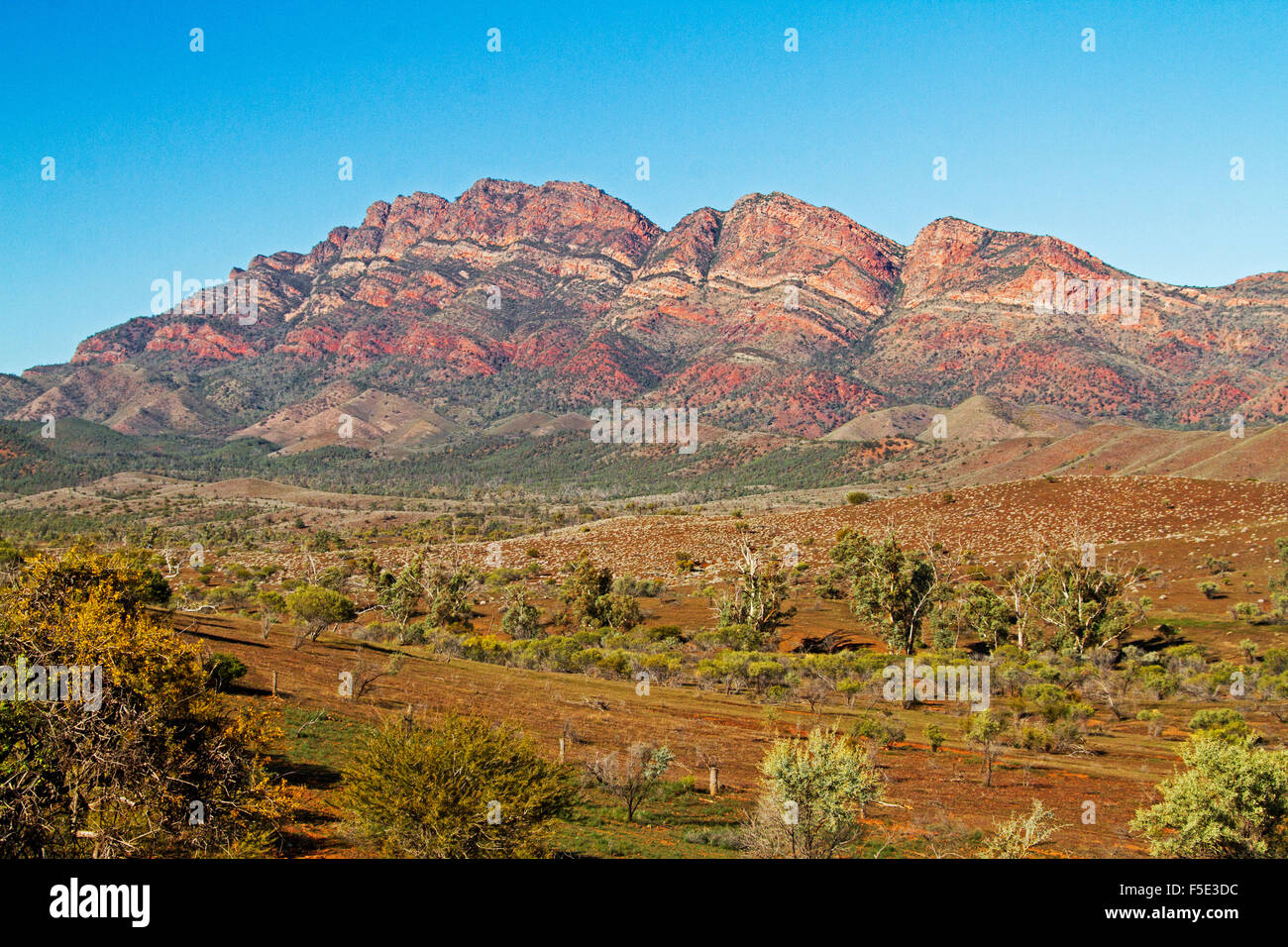 Lo straordinario paesaggio con red picchi rocciosi & valle sotto il cielo blu in Flinders Ranges National Park, outback Australia del Sud Foto Stock