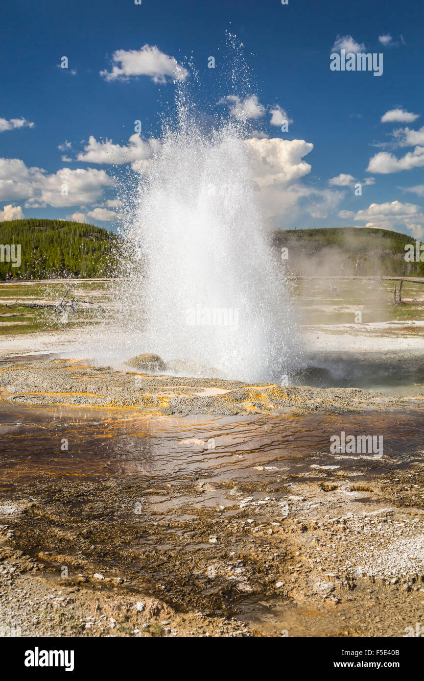 Colorato sorgenti termali e piscine di Midway Geyser Basin nel Parco Nazionale di Yellowstone, Wyoming negli Stati Uniti. Foto Stock