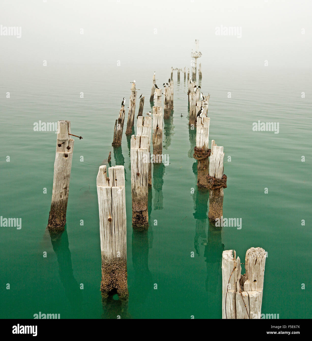 Fila di vecchi weathered posti di legno, una volta parte del molo, nel mare di calme acque turchesi e scomparendo nella nebbia oscurando orizzonte Foto Stock