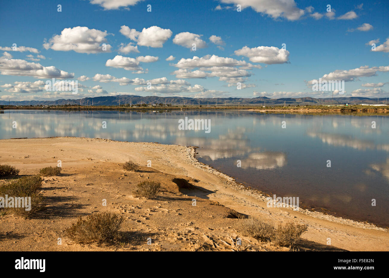 Tomaia Spencer Gulf con cielo blu e nuvole & campi adiacenti si riflette nelle calme acque blu dell'oceano di marea ingresso in Porto Augusta SA Foto Stock