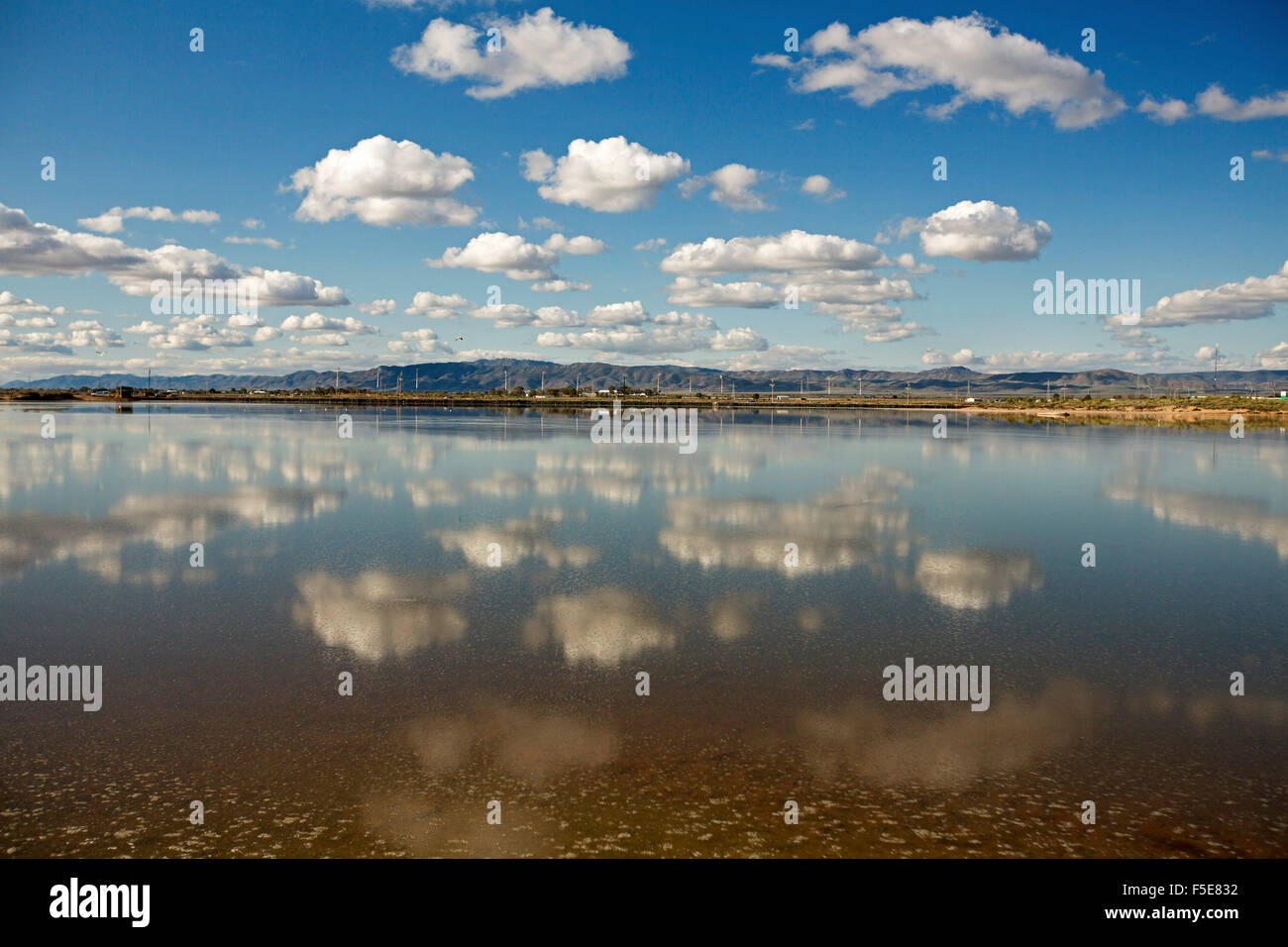 Tomaia Spencer Gulf con cielo blu e nuvole & campi adiacenti si riflette nelle calme acque blu dell'oceano di marea ingresso in Porto Augusta SA Foto Stock