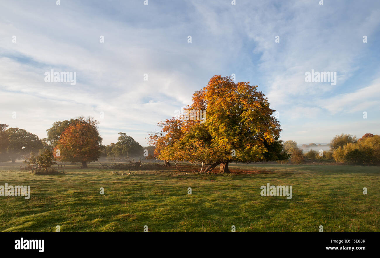 Un autunno foschia mattutina con cielo blu in Shropshire Foto Stock