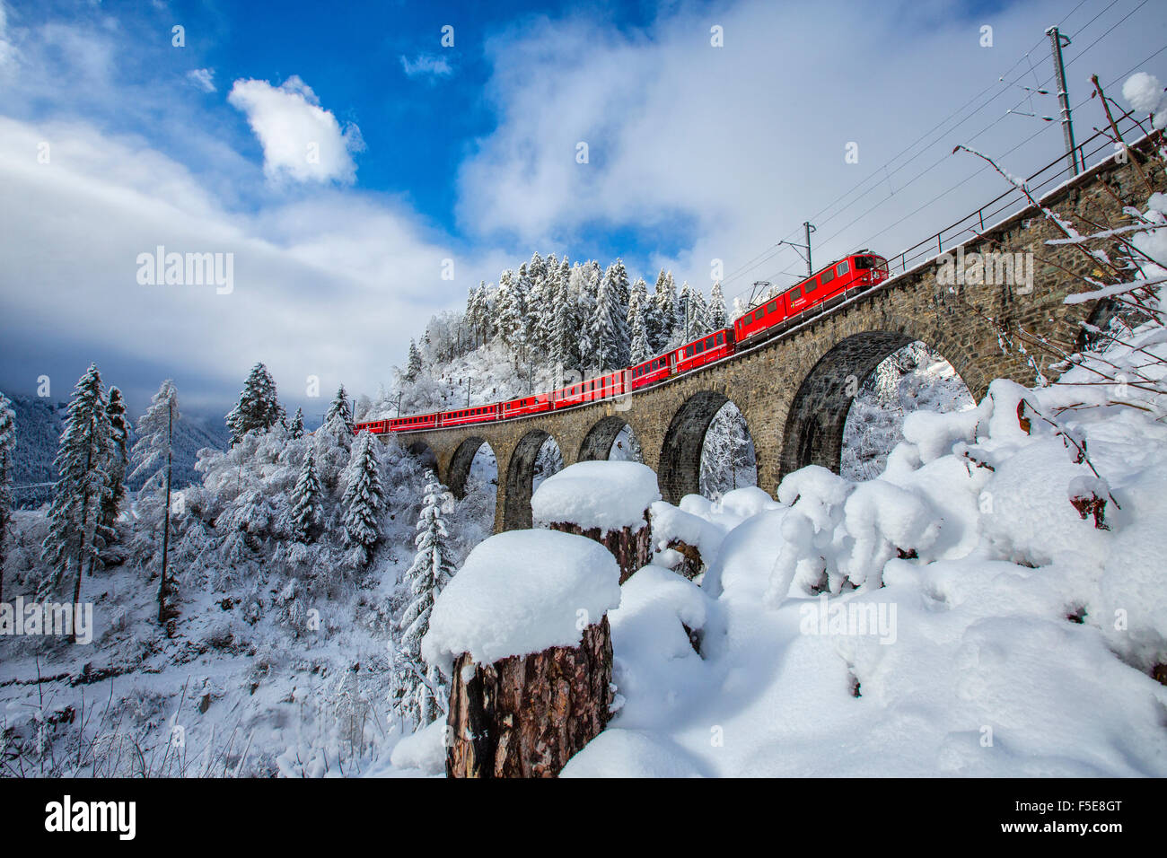 Bernina Express passa attraverso i boschi innevati intorno a Filisur, Canton Grigioni (Grigioni), Svizzera, Europa Foto Stock