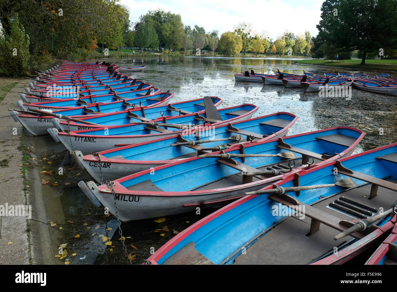 Barche a remi in Bois de Vincennes, Parigi, Francia, Europa Foto Stock