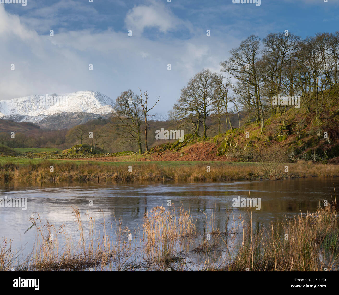 Il fiume Brathay vicino a Elterwater, Lake District, Cumbria, England, Regno Unito, Europa Foto Stock
