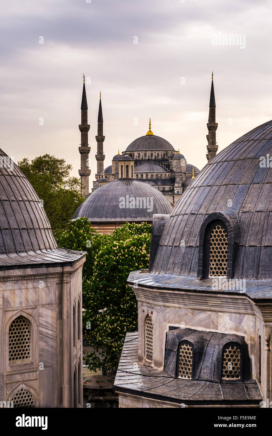 La Moschea Blu (Sultan Ahmed Moschea) visto da Hagia Sophia (Aya Sofya), il Sito Patrimonio Mondiale dell'UNESCO, Istanbul, Turchia, Europa Foto Stock