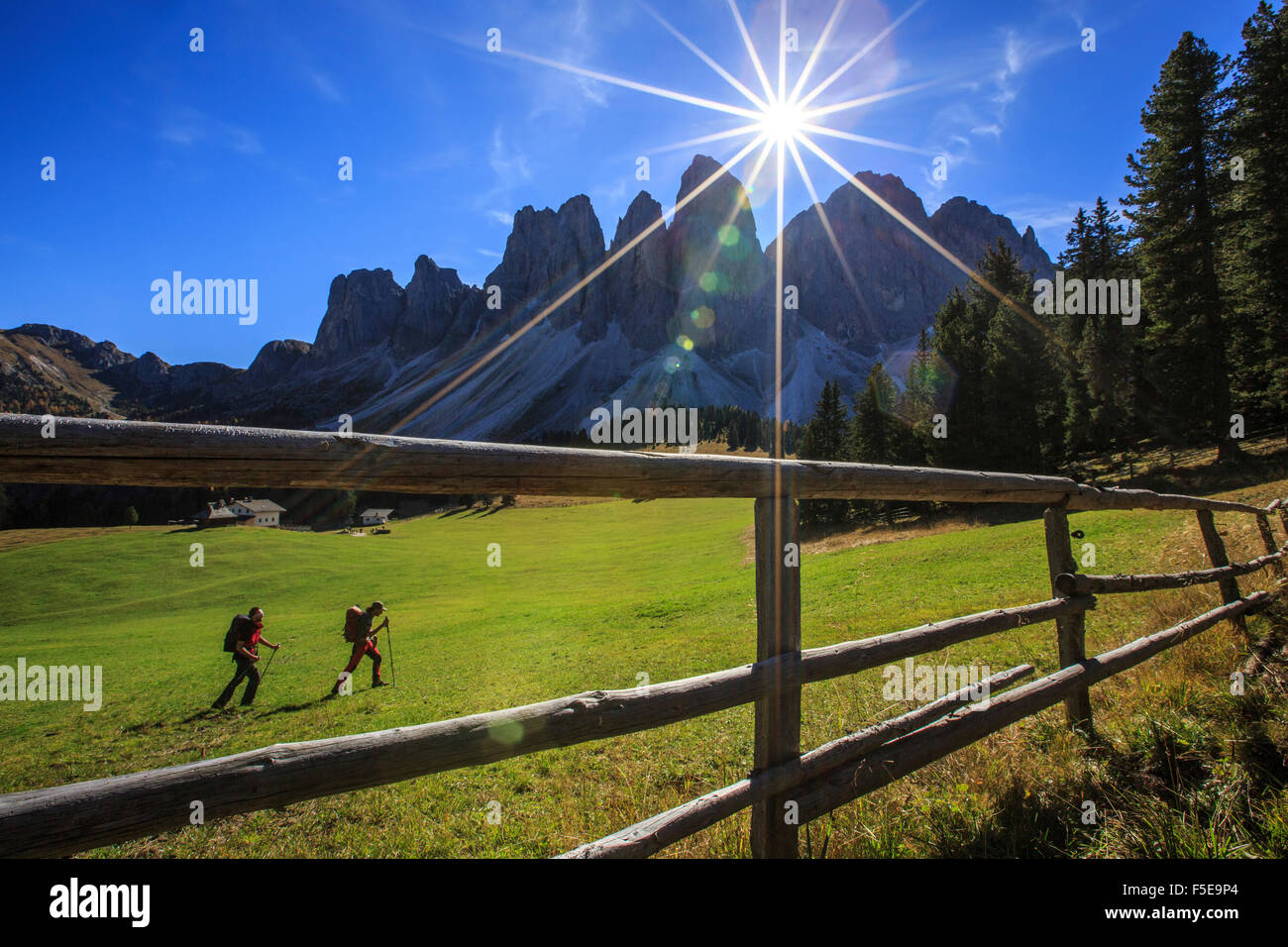 Gli escursionisti procedono dal Glatsch Alm con Odle in background, Val di Funes, Alto Adige, Dolomiti, Trentino-Alto Adige, Italia Foto Stock