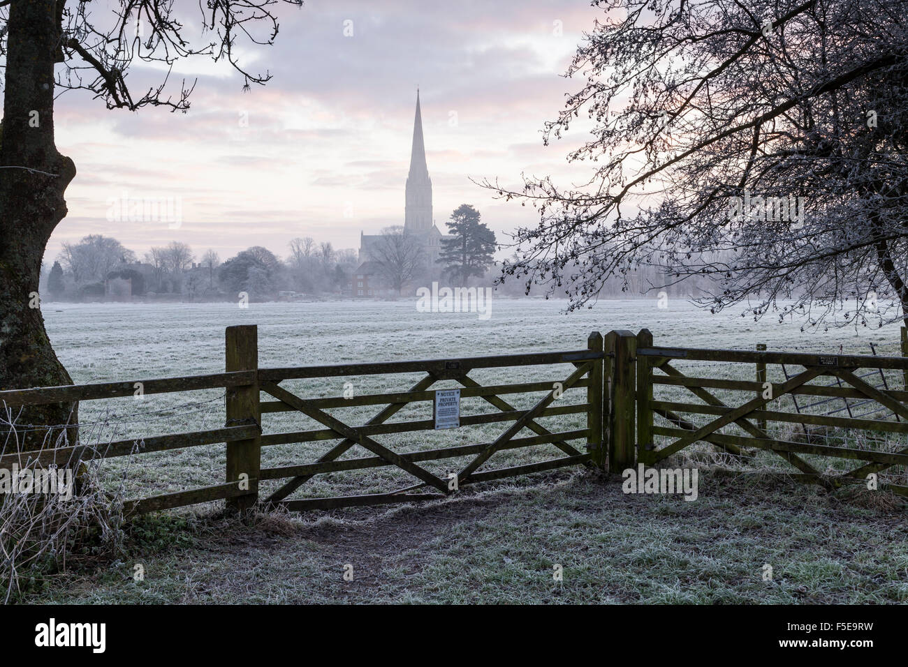 La Cattedrale di Salisbury all'alba a Salisbury, Wiltshire, Inghilterra, Regno Unito, Europa Foto Stock