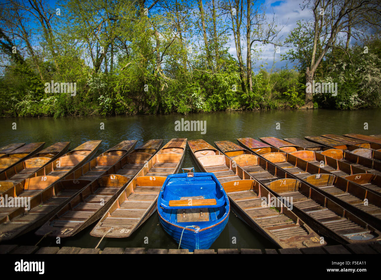 Punting, Cherwell Boathouse, Oxford, Oxfordshire, England, Regno Unito, Europa Foto Stock