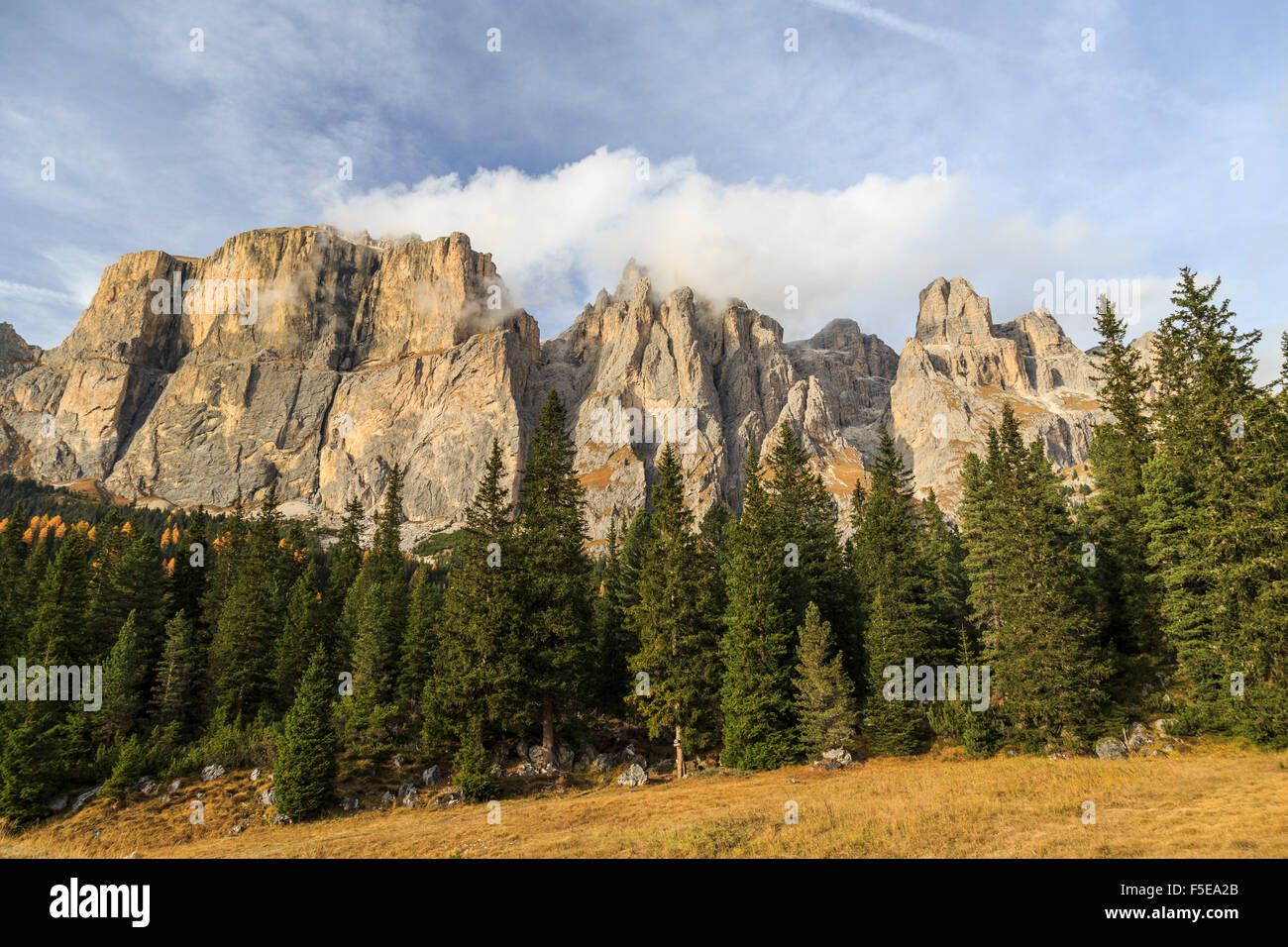 Boschi colorati in autunno al Passo Sella, Val di Fassa, Trentino Alto Adige, Dolomiti, Italia, Europa Foto Stock