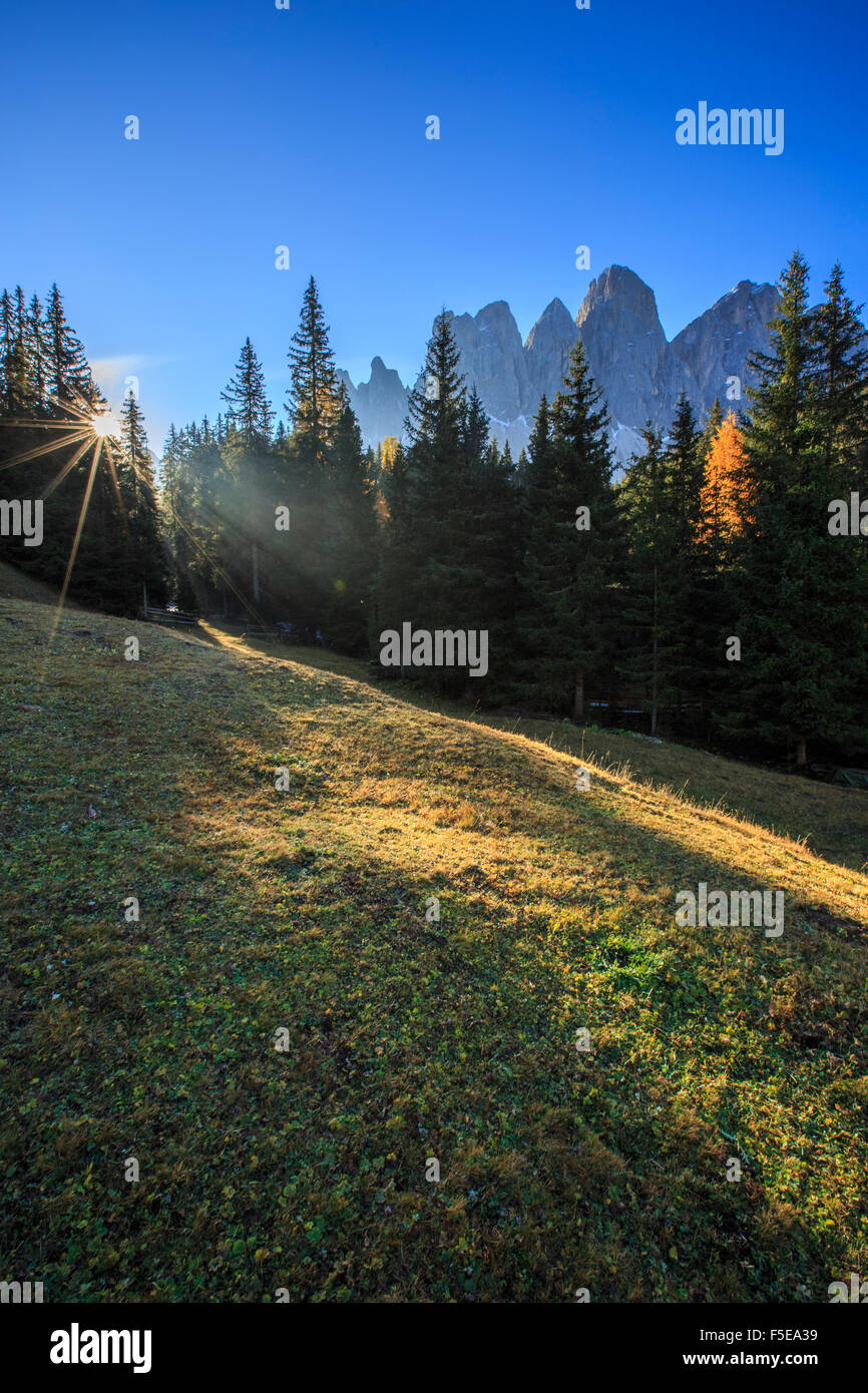 Il verde dei prati e boschi colorati in autunno telaio le Odle, Malga Zannes, Val di Funes, Alto Adige, Dolomiti, Italia, Europa Foto Stock