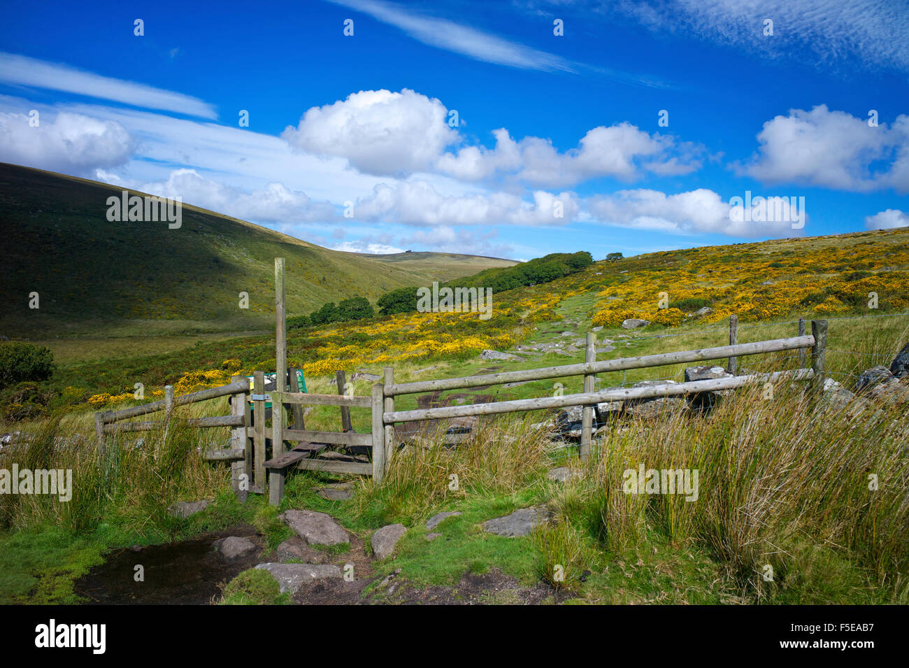 Il sentiero per Wistman il legno sul Dartmoor Devon, Inghilterra, Regno Unito, Europa Foto Stock
