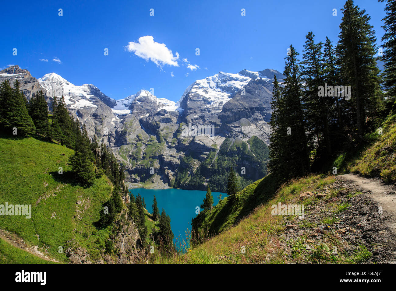 Vista estiva del Lago Oeschinensee, Oberland bernese, Kandersteg, cantone di Berna, Svizzera, Europa Foto Stock