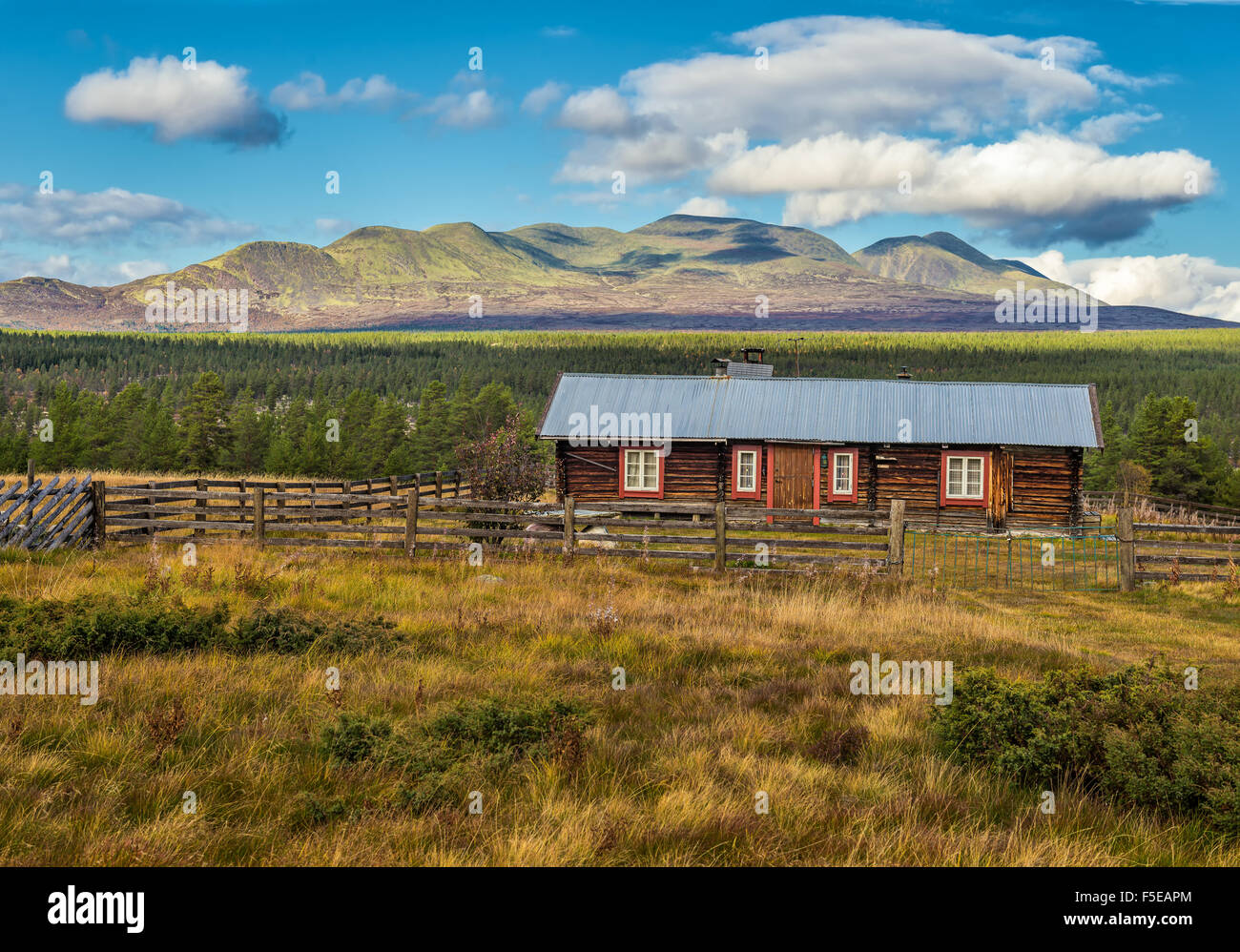 Cabina in legno in montagna in Engerdal, Norvegia Foto Stock