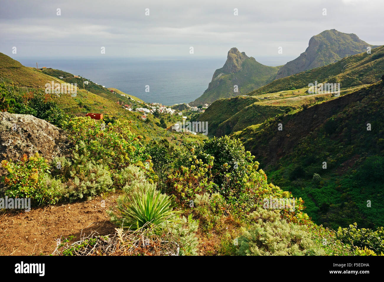 Villaggio Taganana, montagne di Anaga, Tenerife, Isole Canarie, Spagna, Atlantico, Europa Foto Stock