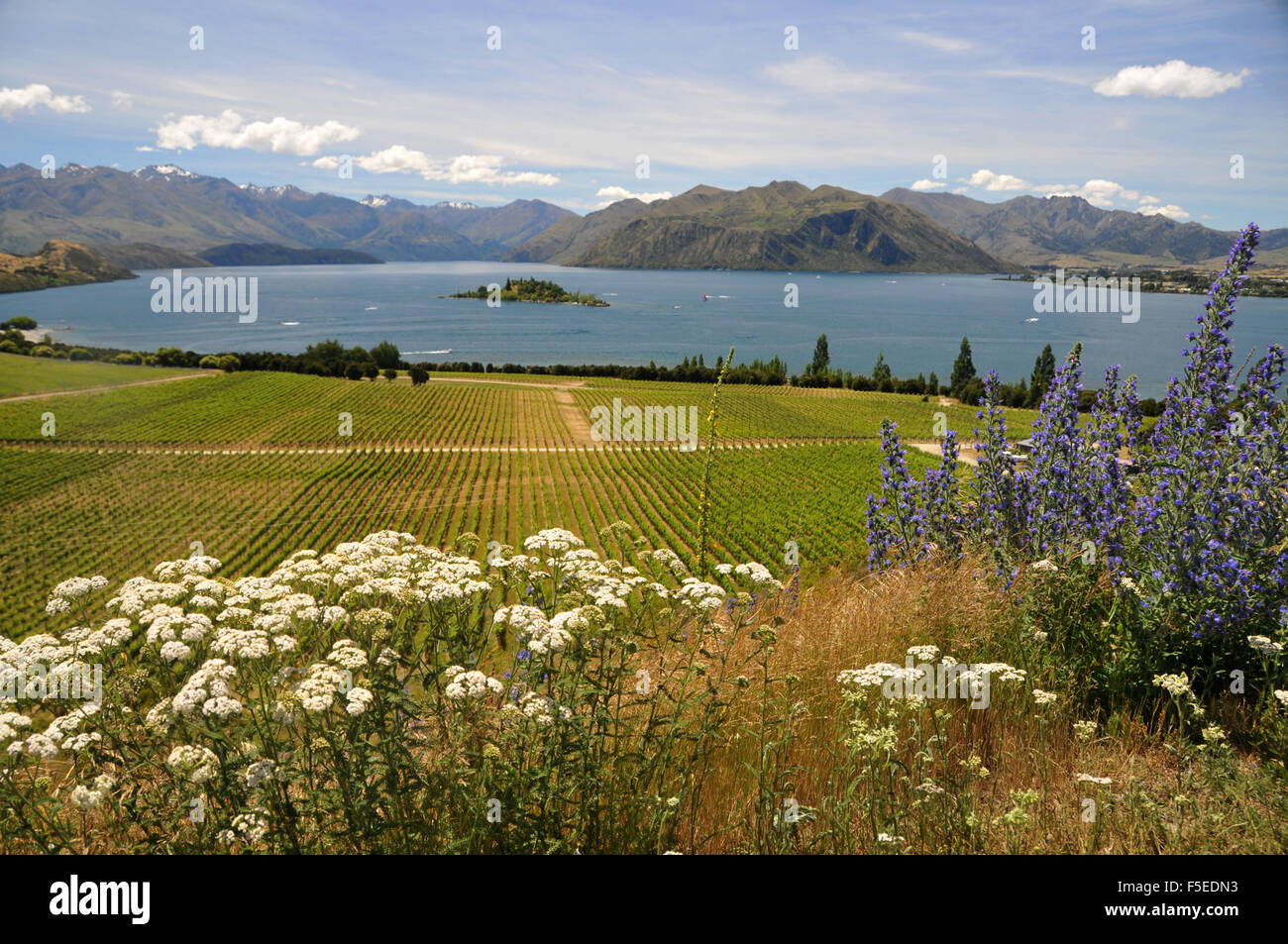 Rippon cantina di fronte al lago Wanaka, Wanaka, Isola del Sud, Nuova Zelanda Foto Stock