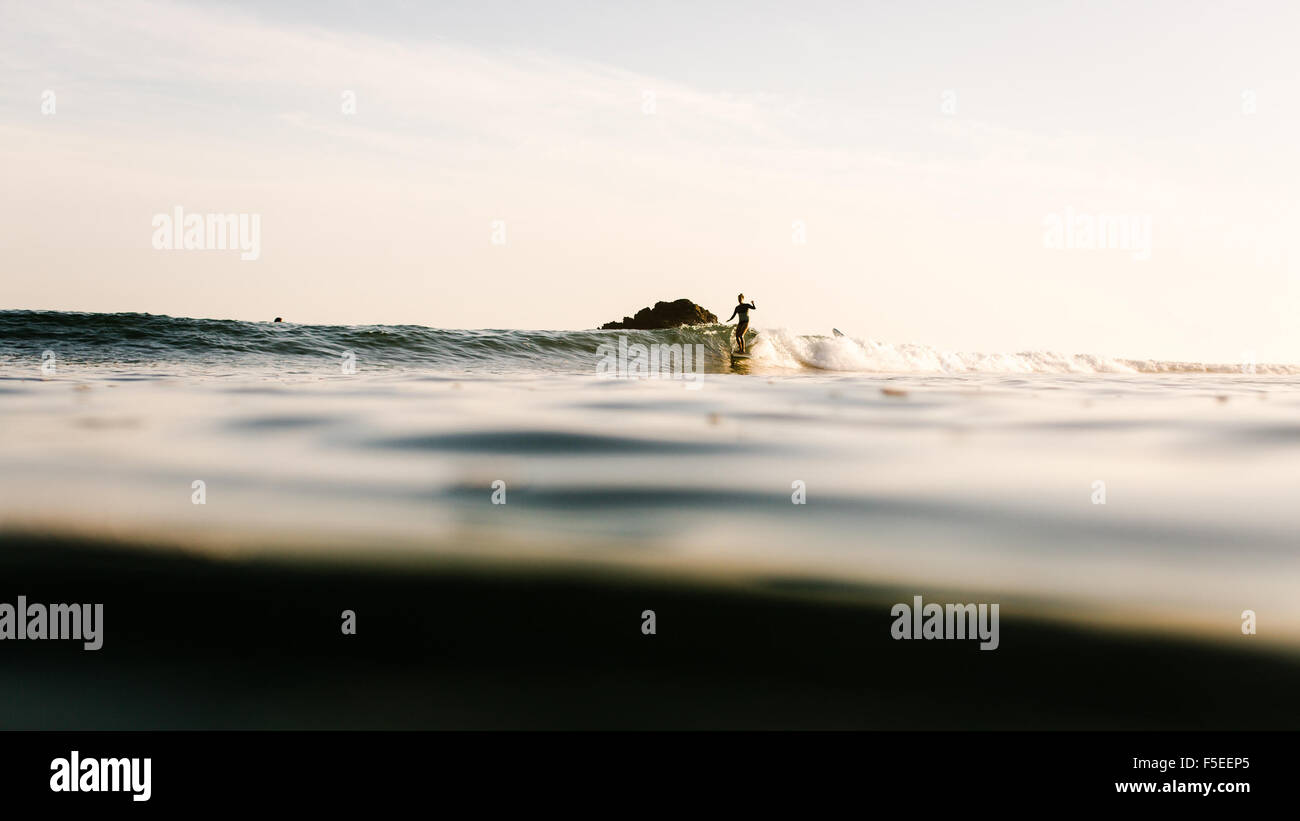 Donna surf al tramonto, Malibu, California, Stati Uniti d'America Foto Stock