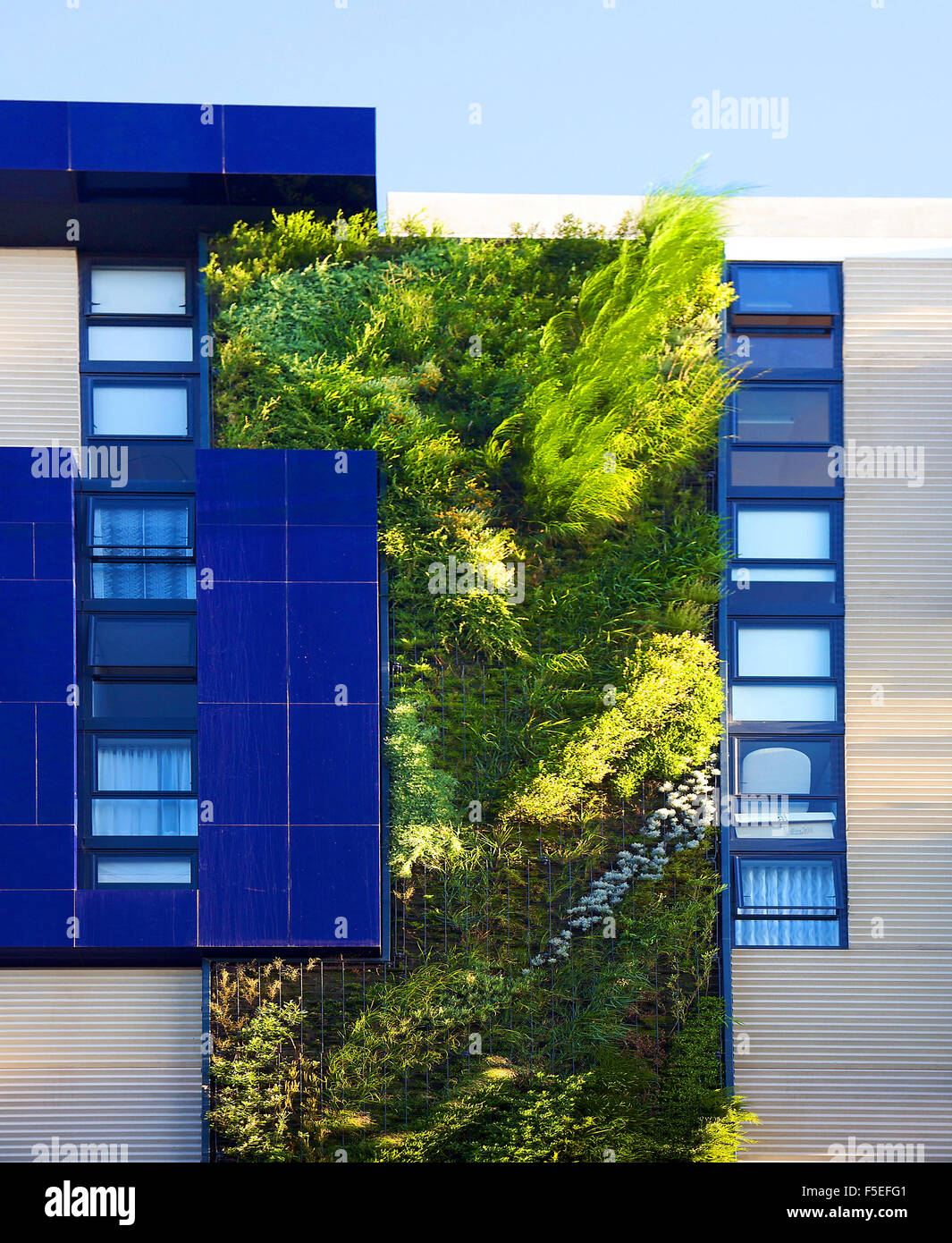 Patrick Blanc, un botanico francese, ha creato il suo più alto giardino verticale a sviluppo residenziale di Sydney. Foto Stock