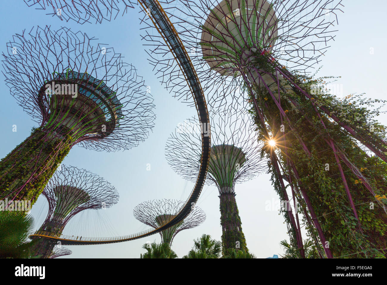 Giardini dalla baia, Singapore Foto Stock