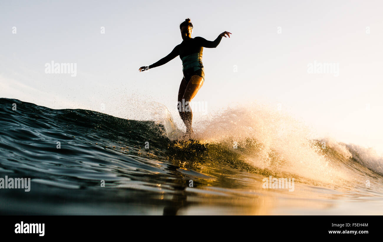 Le donne in piedi sulla tavola da surf, Malibu, California, Stati Uniti d'America Foto Stock