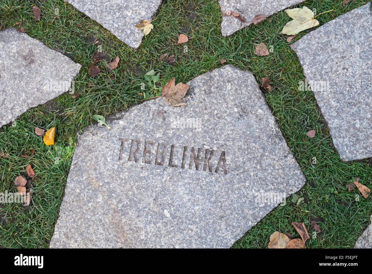Di pietra con il nome di Treblinka presso il Memorial a assassinato Sinti e Rom, nel quartiere Mitte di Berlino, Germania Foto Stock