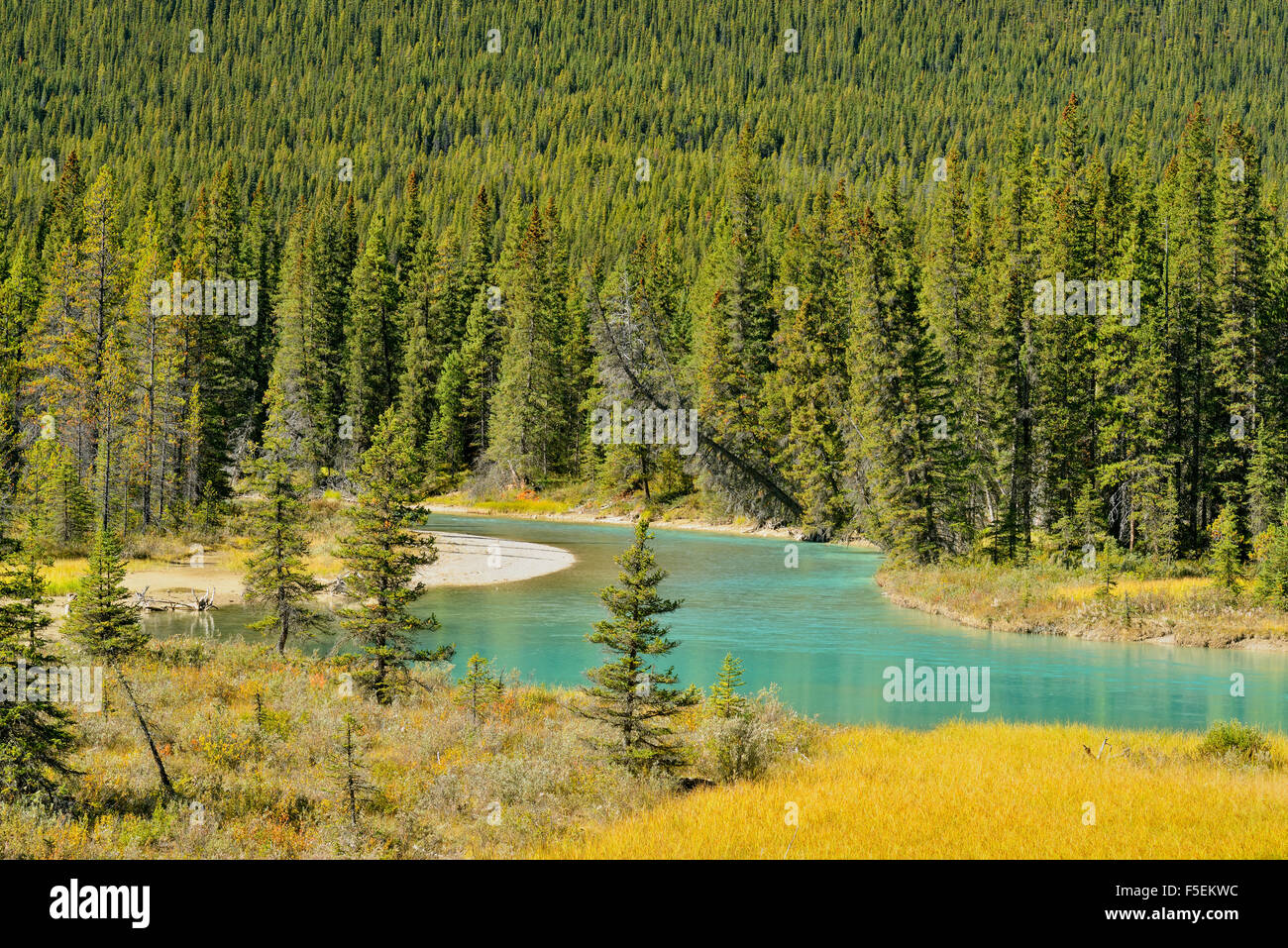 Mistaya Fiume, Parco Nazionale di Banff, Alberta, Canada Foto Stock