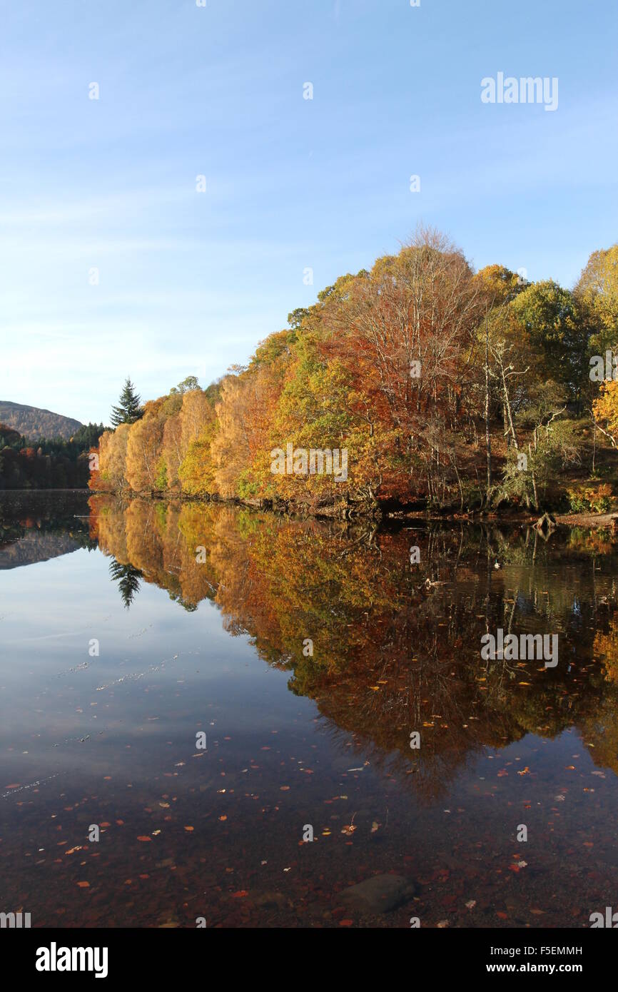 Colore di autunno riflesso in Loch Faskally Scozia Novembre 2015 Foto Stock