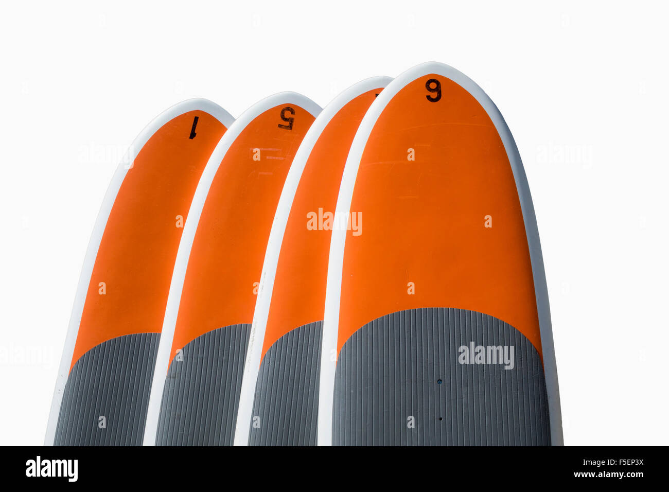 Fila di quattro paddle boards o corpo o tavole da surf su sfondo bianco Foto Stock