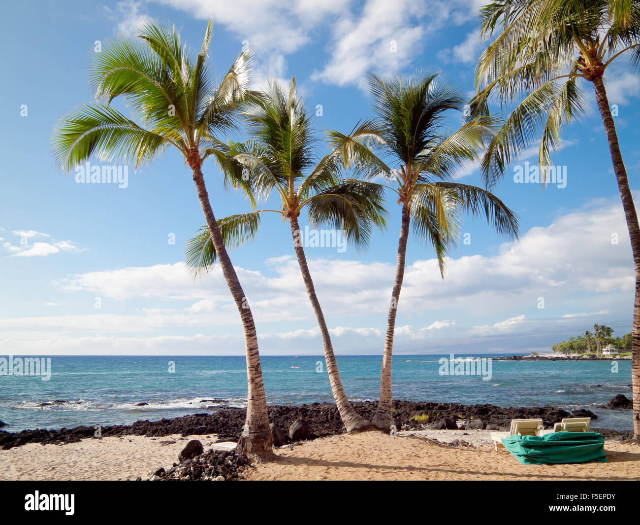 Una vista di palme da cocco e Pauoa Bay presso il Fairmont Orchid, un hotel di lusso sulla Costa Kohala della Hawai'i (Hawaii) Isola. Foto Stock