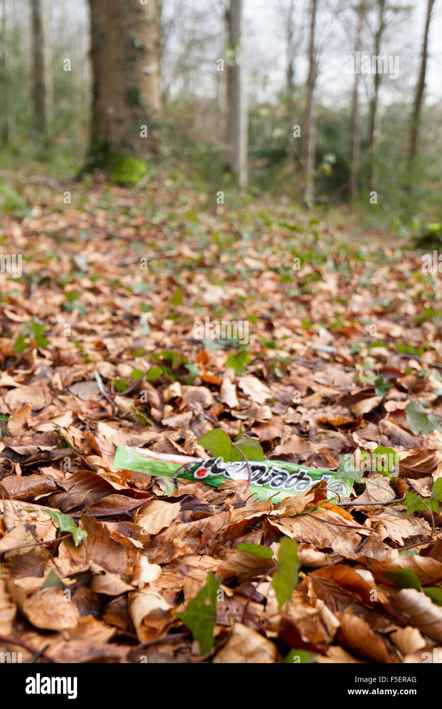Figliata in tra le foglie cadute nel bosco in autunno, in orientamento verticale. Foto Stock