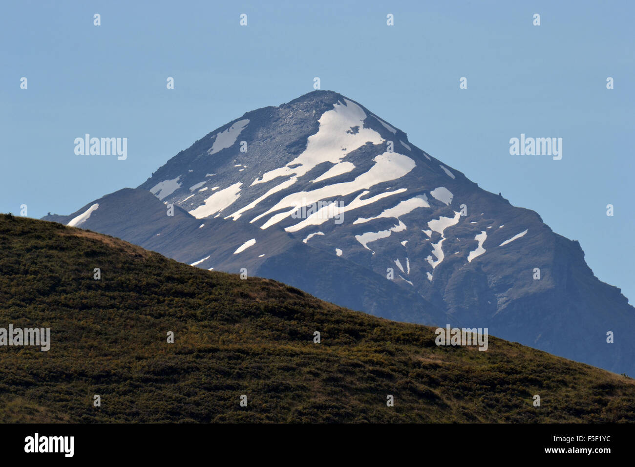 In estate la copertura di neve del monte aspiranti, Isola del Sud, Nuova Zelanda Foto Stock