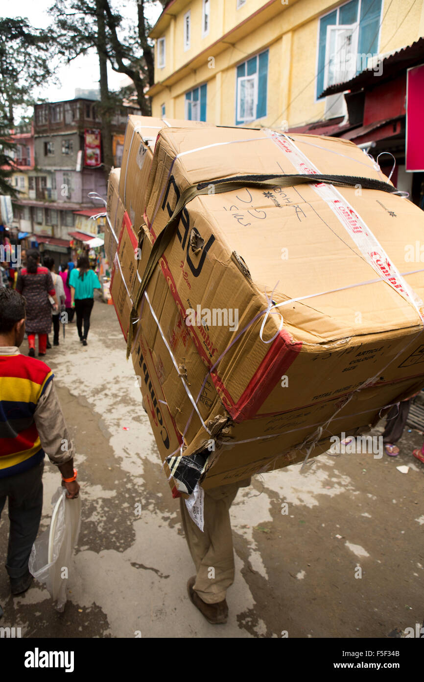India, Himachal Pradesh, Shimla (Simla), l uomo che trasportano carichi pesanti di una grande scatola di cartone sul retro Foto Stock