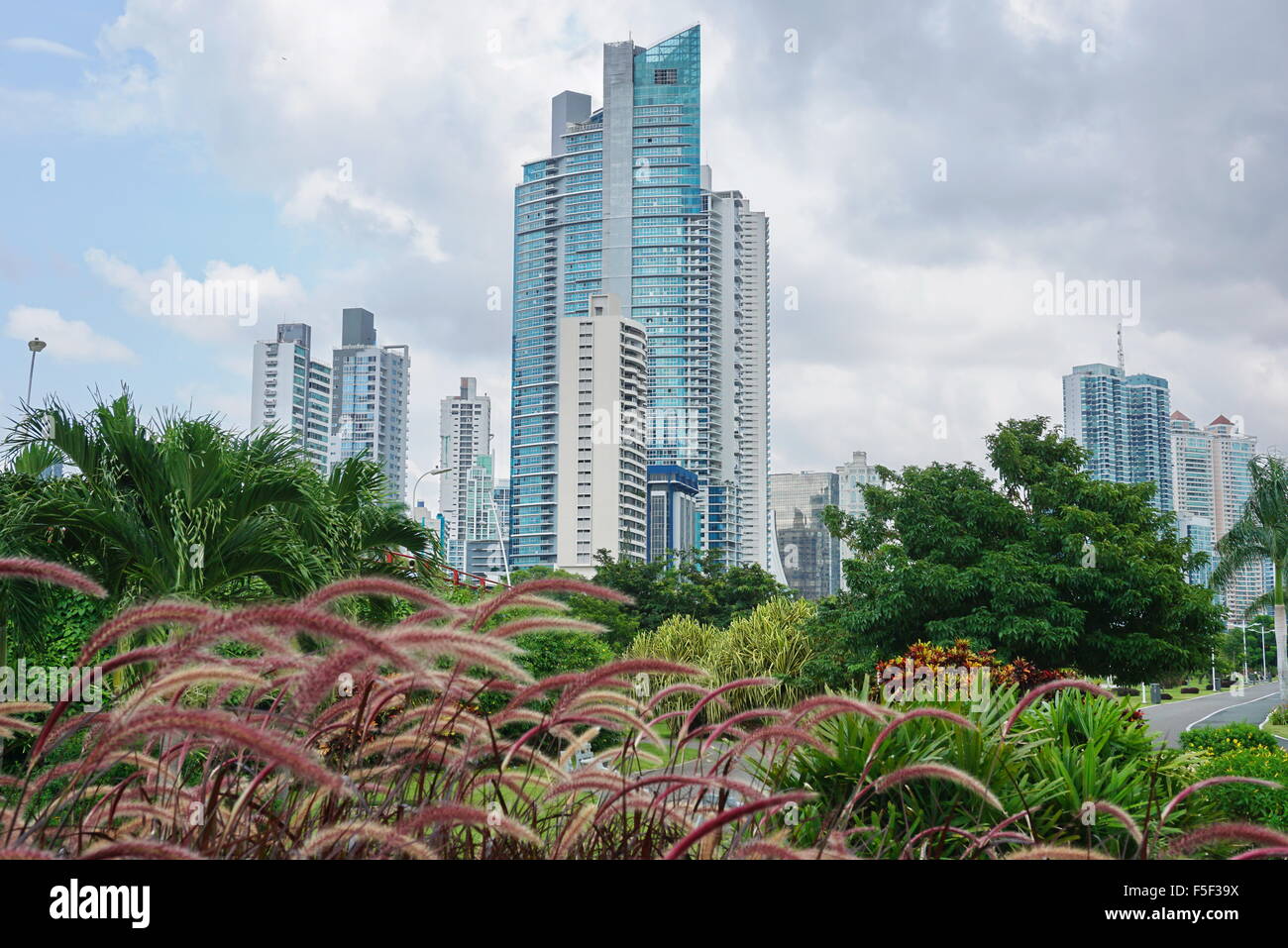 Grattacieli con cielo nuvoloso e piante in primo piano, Panama City, Panama America Centrale Foto Stock