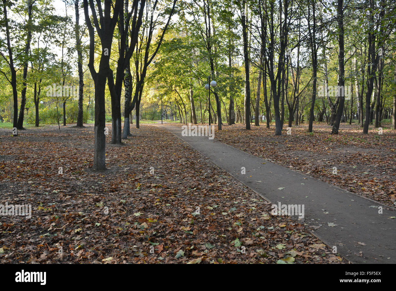 Vicolo del parco d'autunno. Ottobre nel parco della città quando la caduta delle foglie. Foto Stock