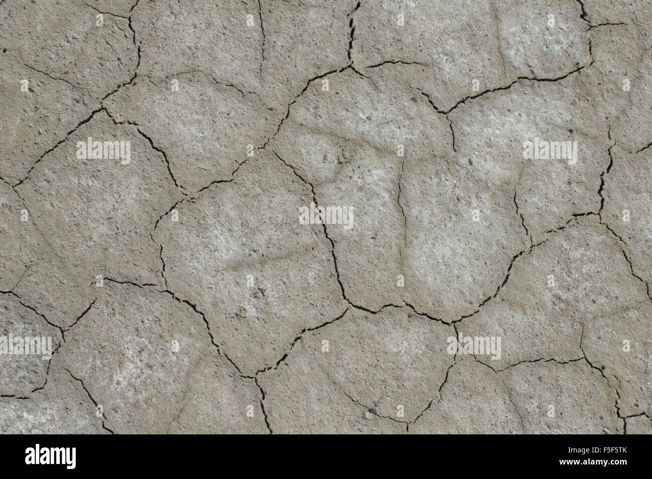 Crepe sul fangoso terreno salata formata dopo che il flusso di sale essiccato fino. Lemnos Alyki lago, Grecia Foto Stock